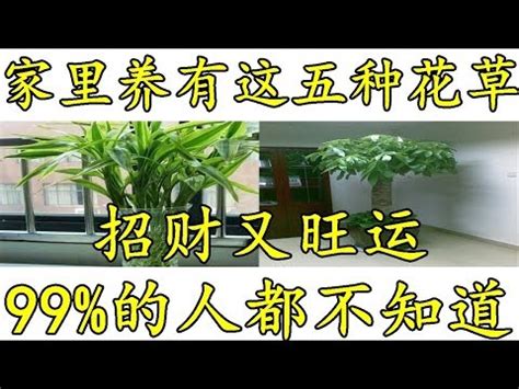 榕樹風水禁忌|【榕樹風水禁忌】榕樹風水禁忌大全：在家養榕樹，財運旺盛還是。